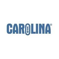 Carolina-discount-code-2024